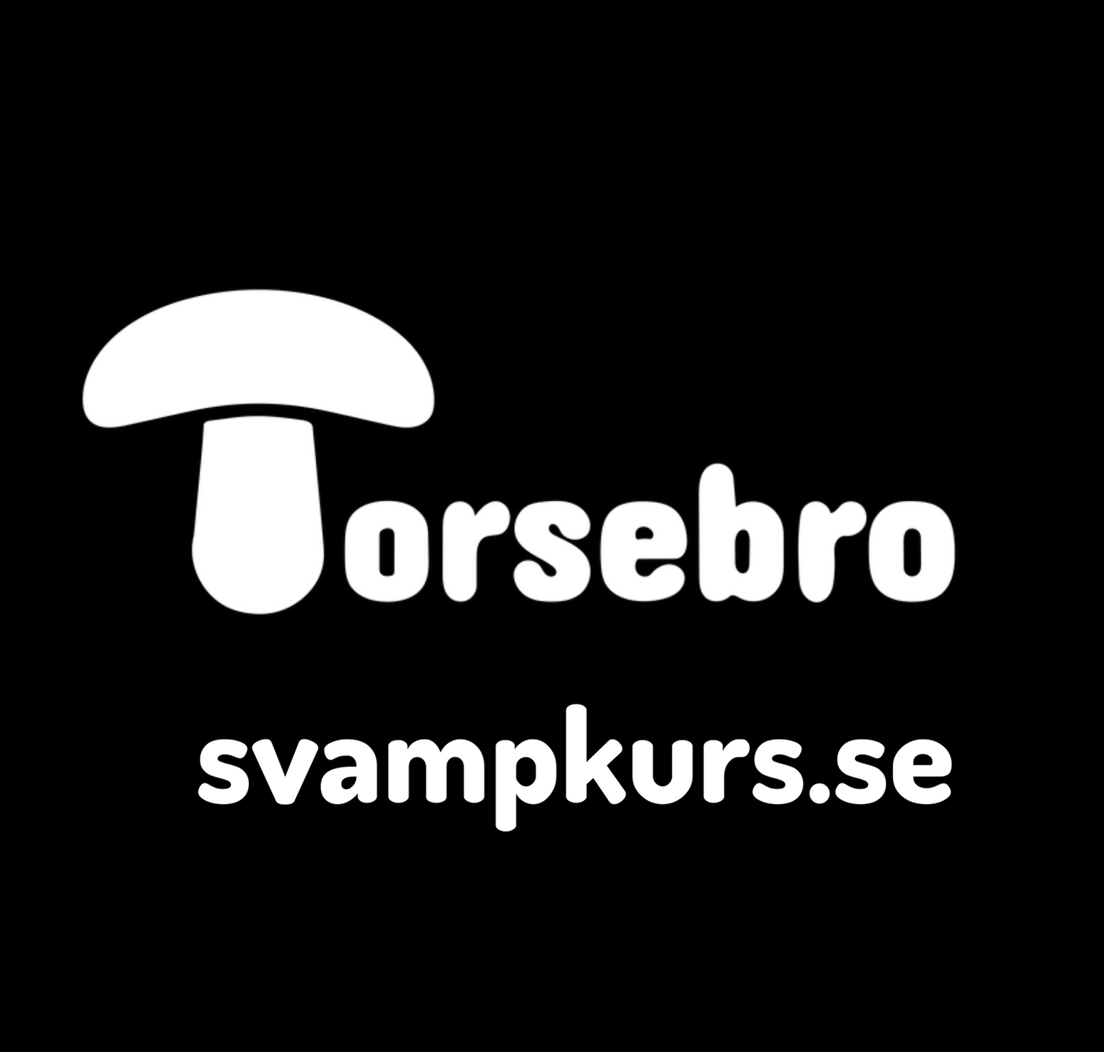 Torsebro Svamp